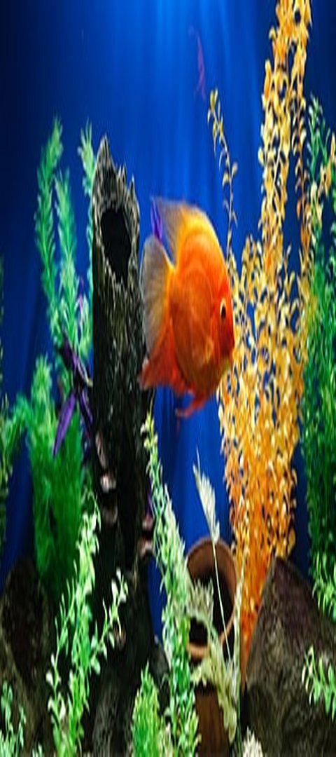 Roter Fisch im Aquascaping